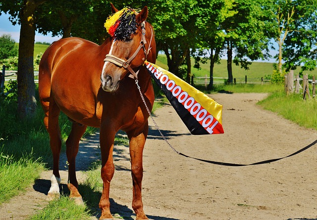 伯恩茅斯1 伯恩茅斯1