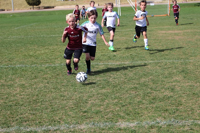 单打选手则 单打选手则