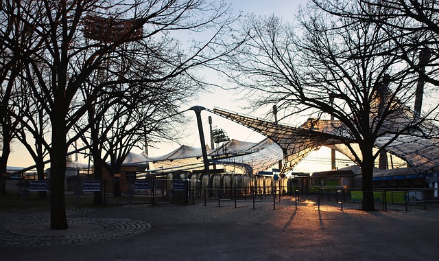 进行阵容升 进行阵容升