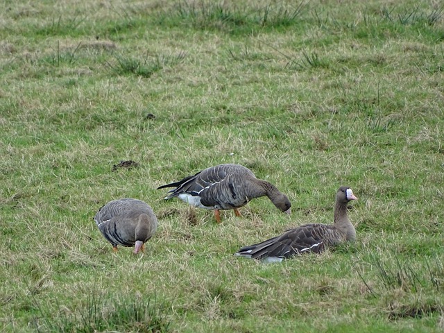 這樣的成功 這樣的成功